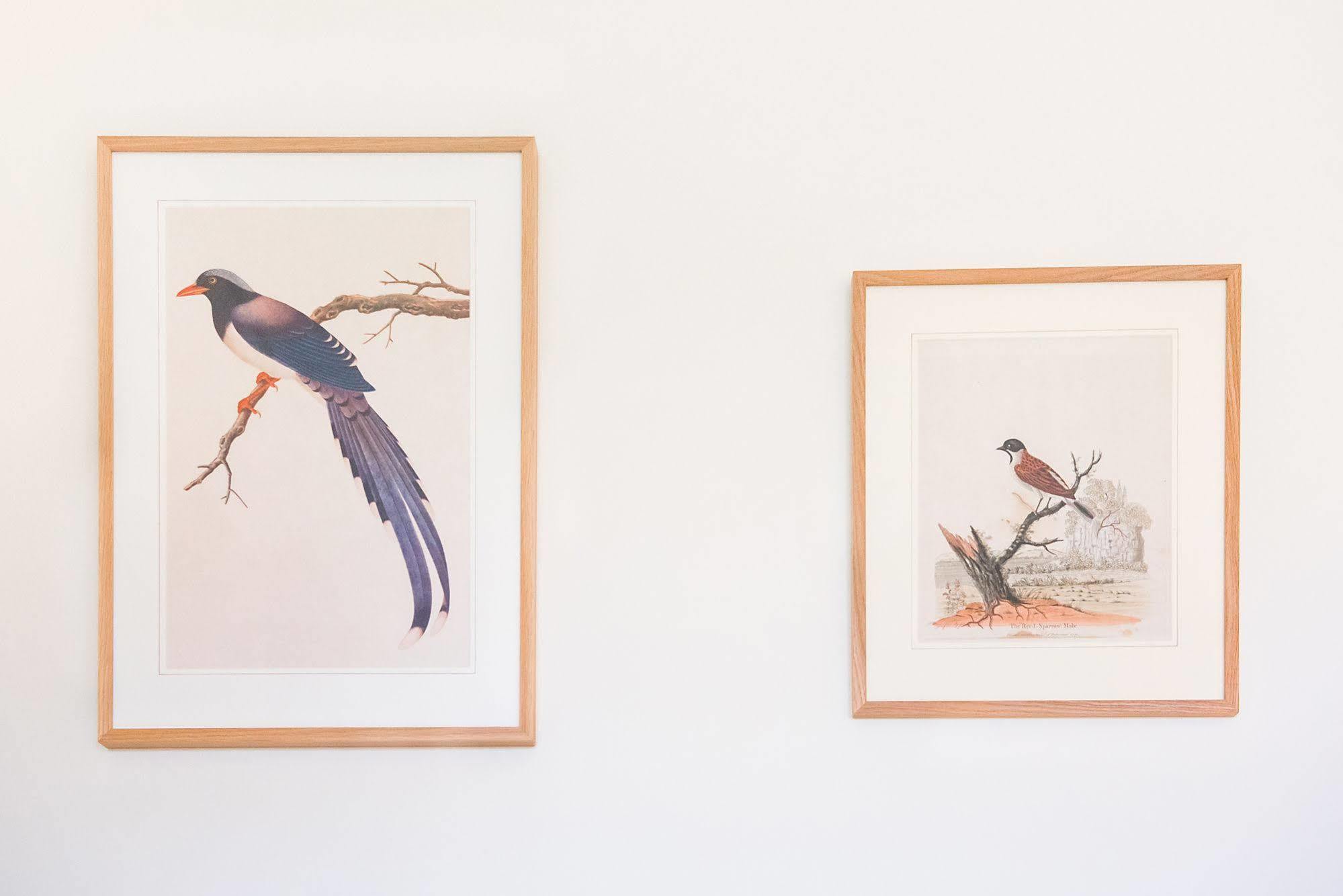 ホテル Springkell Eaglesfield エクステリア 写真
